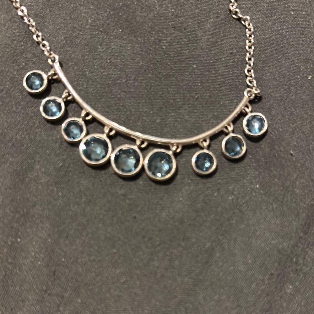 Touchstone Crystal Elegant Silver and Blue Necklace